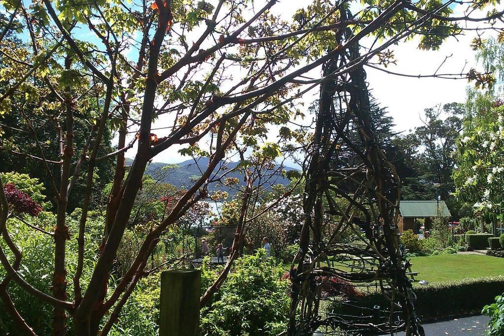 Restview Bed & Breakfast Dunedin Dış mekan fotoğraf